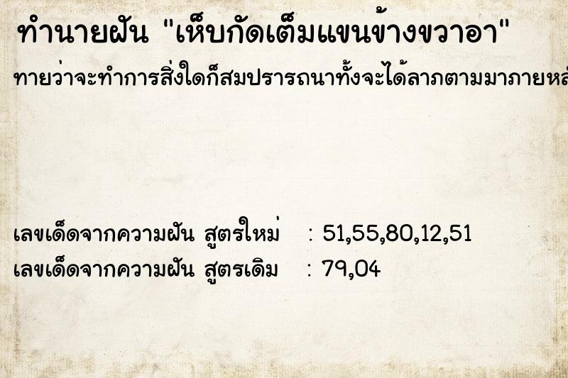 ทำนายฝันเห็บกัดเต็มแขนข้างขวาอา ทำนายฝันทำนายฝันเห็บกัดเต็มแขนข้างขวาอา
