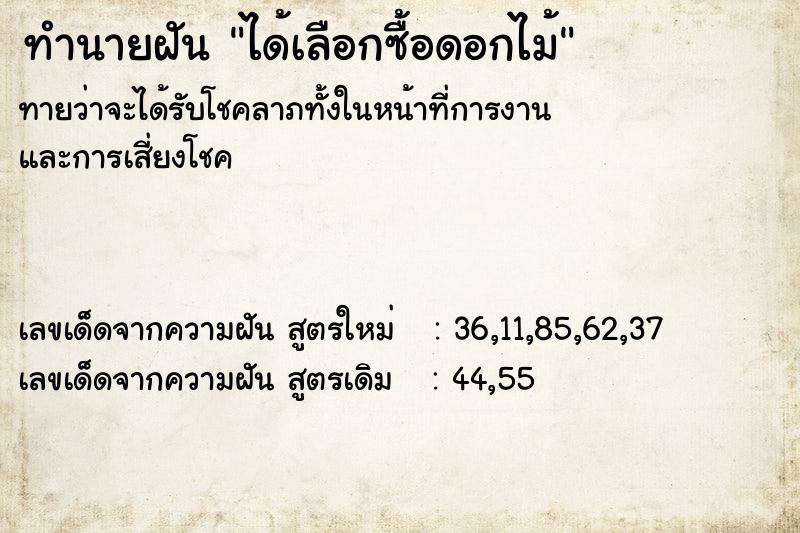 ทำนายฝันทำนายฝันได้เลือกซื้อดอกไม้