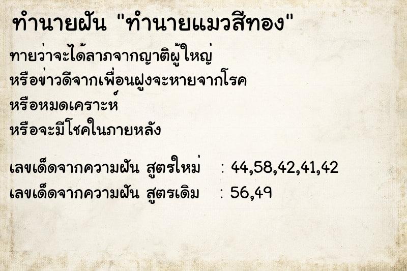 ทำนายฝันทำนายแมวสีทอง ทำนายฝันทำนายฝันทำนายแมวสีทอง