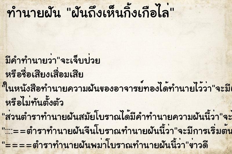 ทำนายฝันฝันถึงเห็นกิ้งเกือไล่ ทำนายฝันทำนายฝันฝันถึงเห็นกิ้งเกือไล่