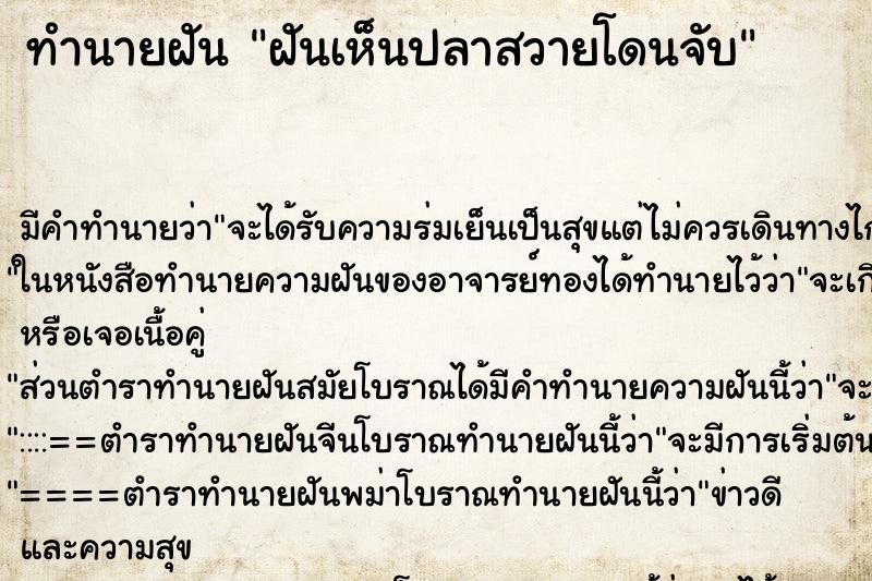 ทำนายฝันฝันเห็นปลาสวายโดนจับ ทำนายฝันทำนายฝันฝันเห็นปลาสวายโดนจับ