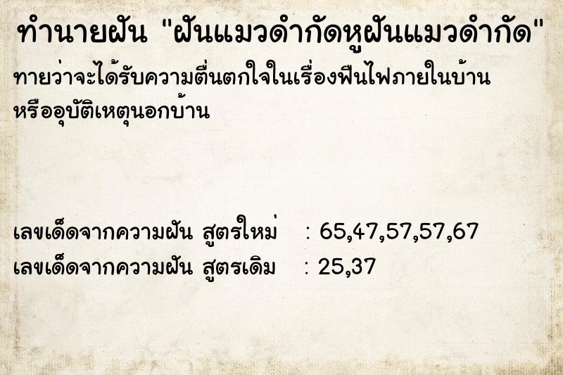 ทำนายฝันฝันแมวดำกัดหูฝันแมวดำกัด ทำนายฝันทำนายฝันฝันแมวดำกัดหูฝันแมวดำกัด