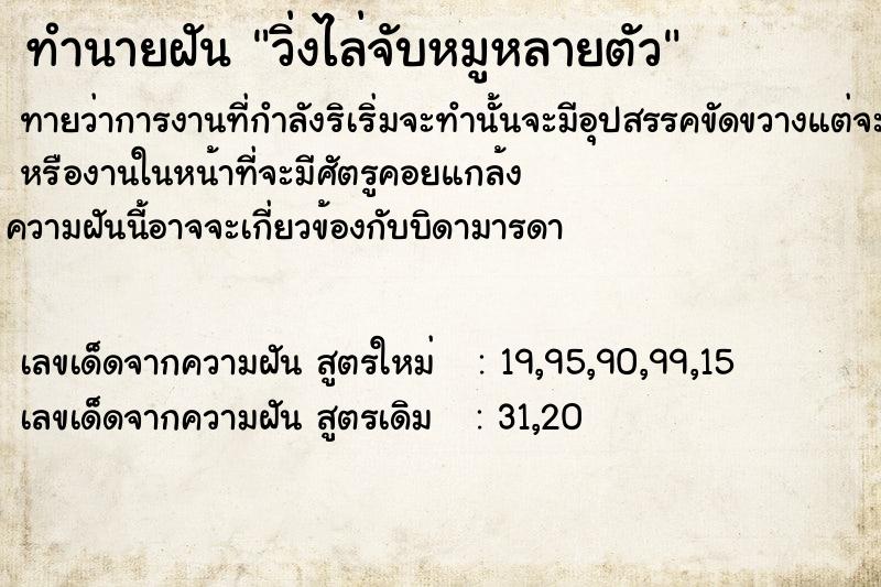 ทำนายฝันทำนายฝันวิ่งไล่จับหมูหลายตัว