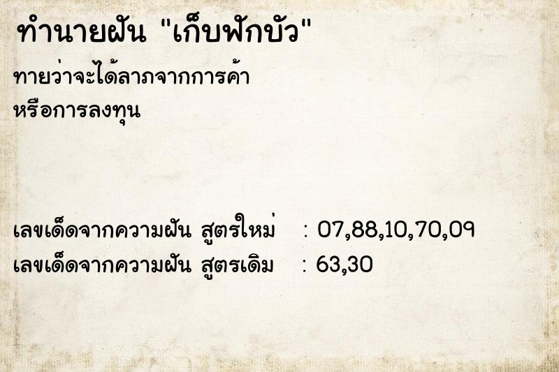 ทำนายฝันเก็บฟักบัว ทำนายฝันทำนายฝันเก็บฟักบัว