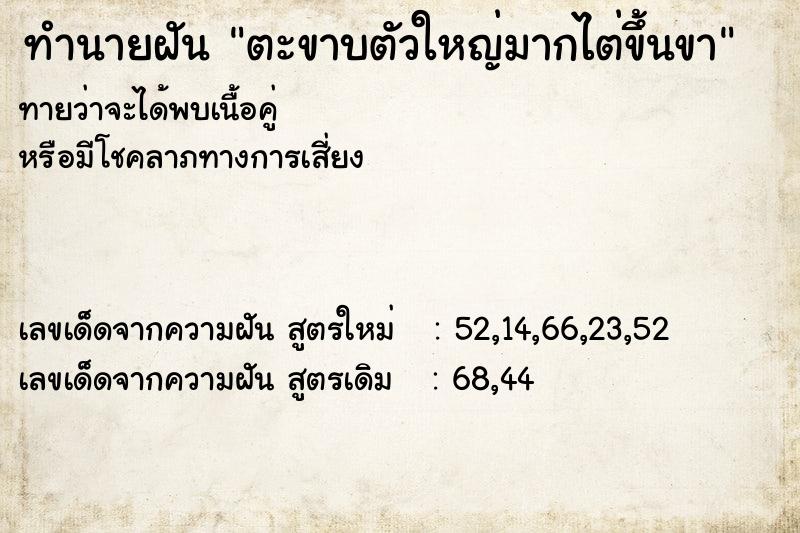 ทำนายฝันตะขาบตัวใหญ่มากไต่ขึ้นขา ทำนายฝันทำนายฝันตะขาบตัวใหญ่มากไต่ขึ้นขา