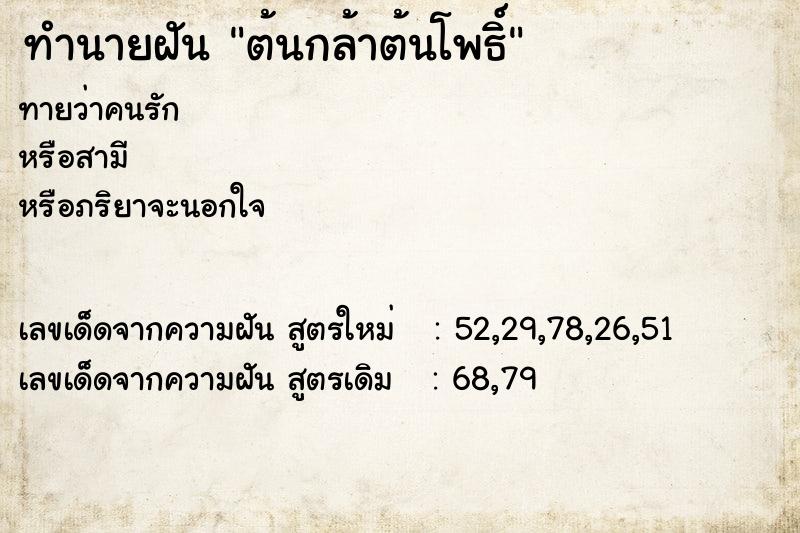 ทำนายฝันทำนายฝันต้นกล้าต้นโพธิ์