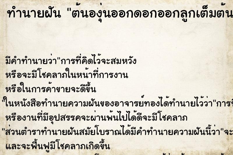 ทำนายฝัน ต้นองุ่นออกดอกออกลูกเต็มต้น ทำนายฝัน ต้นองุ่นออกดอกออกลูกเต็มต้น
