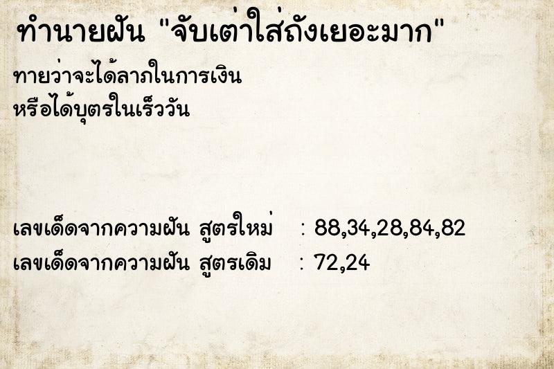 ทำนายฝันทำนายฝันจับเต่าใส่ถังเยอะมาก