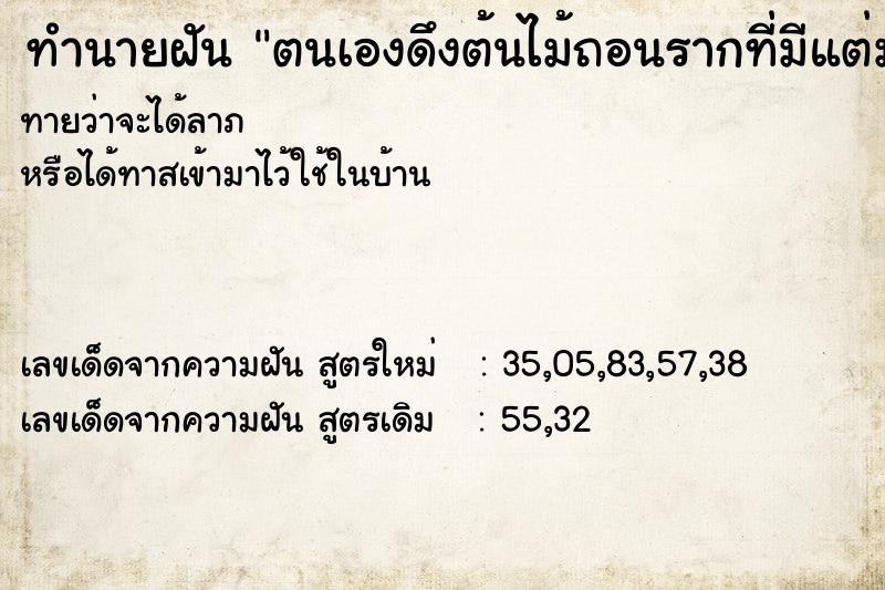 ทำนายฝันทำนายฝันตนเองดึงต้นไม้ถอนรากที่มีแต่มดเยอะถอนออกจนหมด