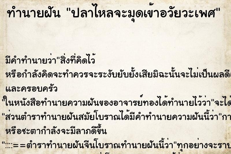 ทำนายฝันปลาไหลจะมุดเข้าอวัยวะเพศ ทำนายฝันทำนายฝันปลาไหลจะมุดเข้าอวัยวะเพศ
