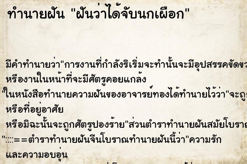 ทำนายฝัน ฝันว่าได้จับนกเผือก ทำนายฝัน ฝันว่าได้จับนกเผือก