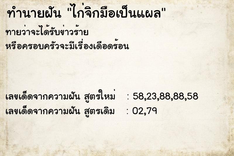 ทำนายฝันทำนายฝันไก่จิกมือเป็นแผล