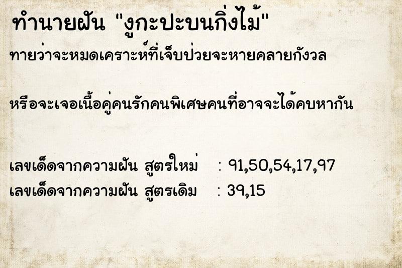 ทำนายฝันงูกะปะบนกิ่งไม้ ทำนายฝันทำนายฝันงูกะปะบนกิ่งไม้