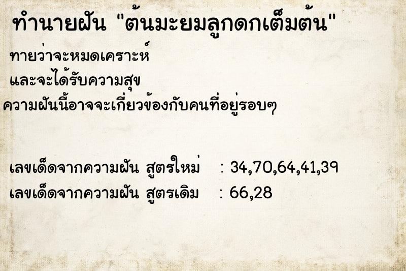 ทำนายฝันต้นมะยมลูกดกเต็มต้น ทำนายฝันทำนายฝันต้นมะยมลูกดกเต็มต้น