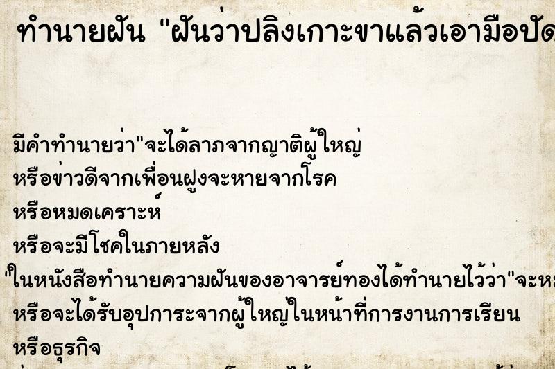 ทำนายฝันฝันว่าปลิงเกาะขาแล้วเอามือปัดออก ทำนายฝันทำนายฝันฝันว่าปลิงเกาะขาแล้วเอามือปัดออก