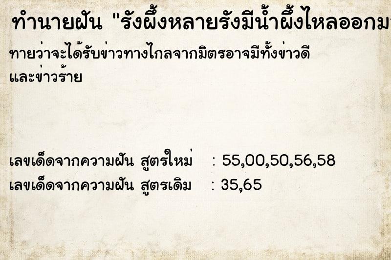ทำนายฝันรังผึ้งหลายรังมีน้ำผึ้งไหลออกมามากมาย ทำนายฝันทำนายฝันรังผึ้งหลายรังมีน้ำผึ้งไหลออกมามากมาย