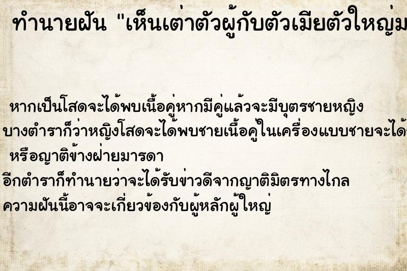 ทำนายฝัน เห็นเต่าตัวผู้กับตัวเมียตัวใหญ่มาก ทำนายฝัน เห็นเต่าตัวผู้กับตัวเมียตัวใหญ่มาก
