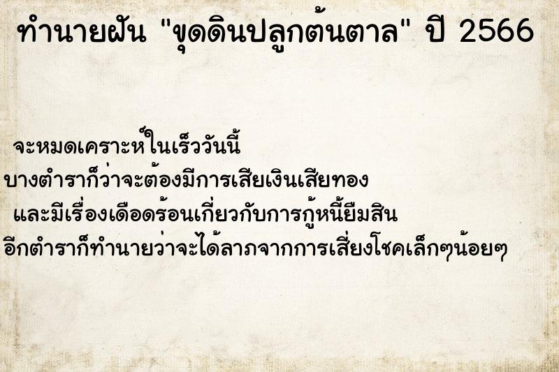 ทำนายฝันทำนายฝันขุดดินปลูกต้นตาล