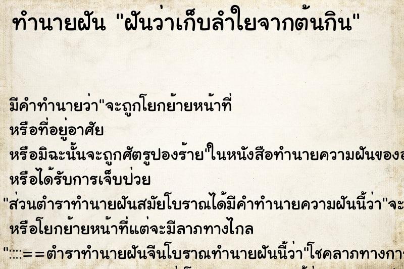 ทำนายฝัน ฝันว่าเก็บลำใยจากต้นกิน ทำนายฝัน ฝันว่าเก็บลำใยจากต้นกิน