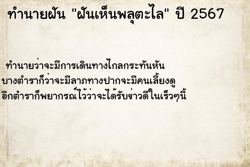 ทำนายฝันฝันเห็นพลุตะไล ทำนายฝันทำนายฝันฝันเห็นพลุตะไล