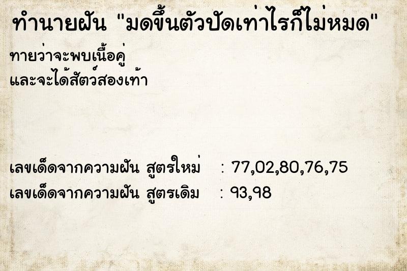 ทำนายฝันทำนายฝันมดขึ้นตัวปัดเท่าไรก็ไม่หมด