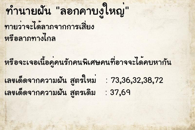 ทำนายฝันลอกคาบงูใหญ่ ทำนายฝันทำนายฝันลอกคาบงูใหญ่