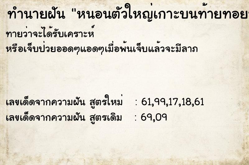 ทำนายฝันทำนายฝันหนอนตัวใหญ่เกาะบนท้ายทอยหมา