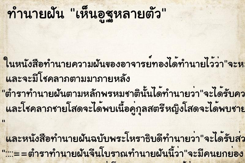 ทำนายฝันเห็นอูฐหลายตัว ทำนายฝันทำนายฝันเห็นอูฐหลายตัว