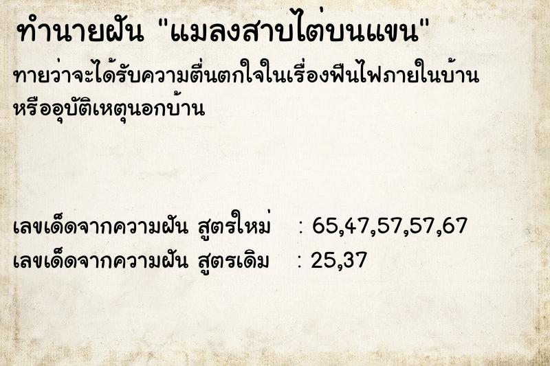 ทำนายฝันแมลงสาบไต่บนแขน ทำนายฝันทำนายฝันแมลงสาบไต่บนแขน