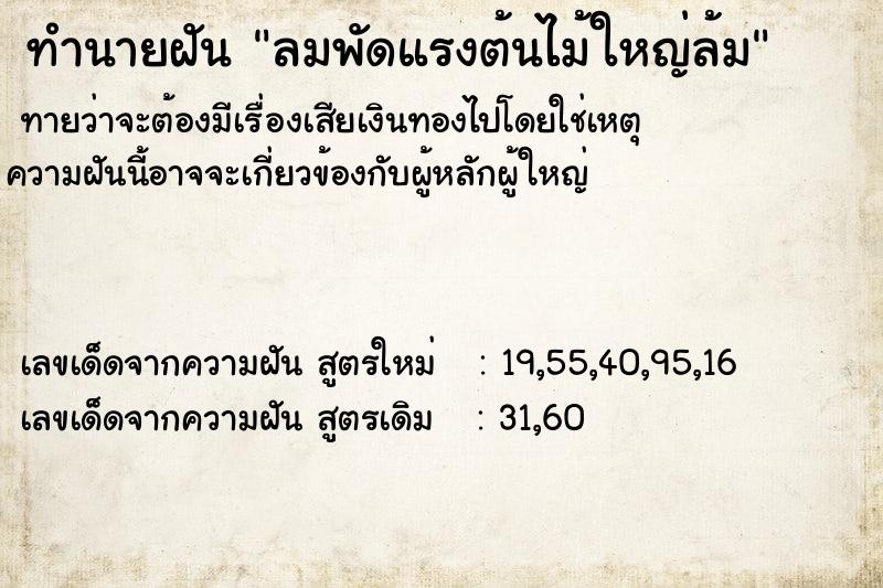ทำนายฝันทำนายฝันลมพัดแรงต้นไม้ใหญ่ล้ม
