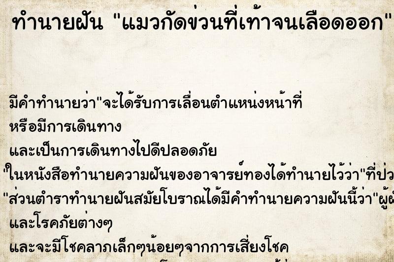 ทำนายฝัน แมวกัดข่วนที่เท้าจนเลือดออก ทำนายฝัน แมวกัดข่วนที่เท้าจนเลือดออก