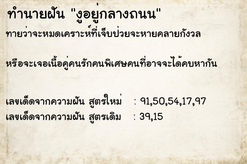 ทำนายฝันงูอยู่กลางถนน ทำนายฝันทำนายฝันงูอยู่กลางถนน