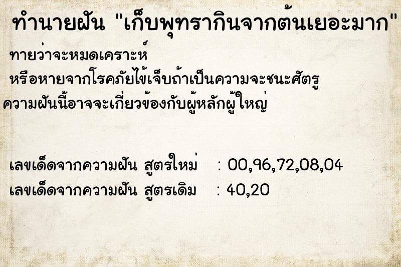 ทำนายฝันทำนายฝันเก็บพุทรากินจากต้นเยอะมาก