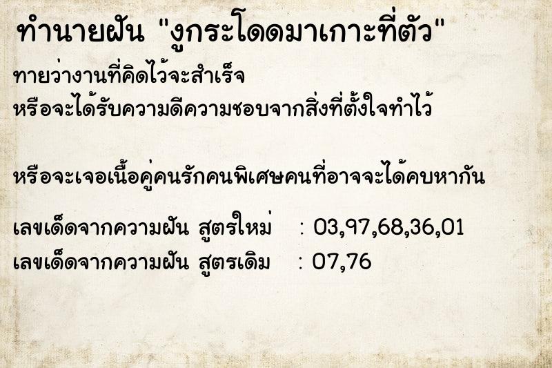 ทำนายฝันงูกระโดดมาเกาะที่ตัว ทำนายฝันทำนายฝันงูกระโดดมาเกาะที่ตัว