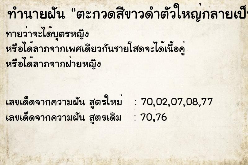 ทำนายฝัน ตะกวดสีขาวดำตัวใหญ่กลายเป็นจิงเหลน ทำนายฝัน ตะกวดสีขาวดำตัวใหญ่กลายเป็นจิงเหลน