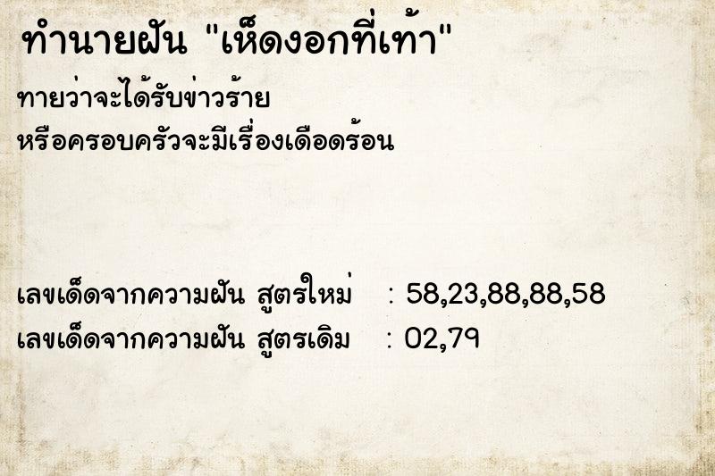 ทำนายฝันทำนายฝันเห็ดงอกที่เท้า