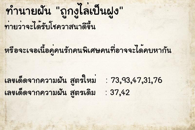 ทำนายฝันทำนายฝันถูกงูไล่เป็นฝูง