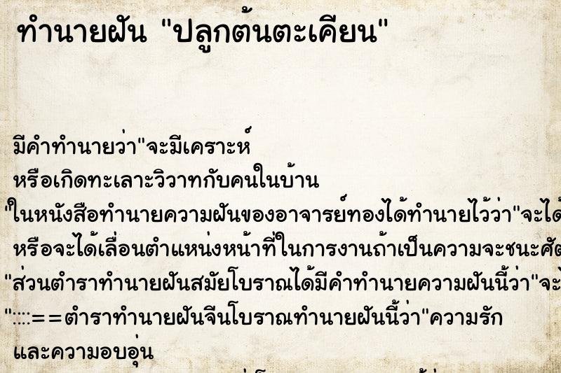 ทำนายฝัน ปลูกต้นตะเคียน ทำนายฝัน ปลูกต้นตะเคียน