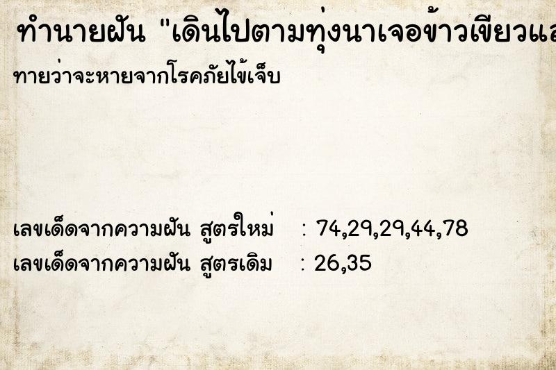 ทำนายฝันเดินไปตามทุ่งนาเจอข้าวเขียวและจับกบตัวใหญ่ได้ ทำนายฝันทำนายฝันเดินไปตามทุ่งนาเจอข้าวเขียวและจับกบตัวใหญ่ได้
