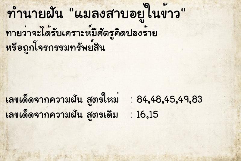 ทำนายฝัน แมลงสาบอยู่ในข้าว ทำนายฝัน แมลงสาบอยู่ในข้าว