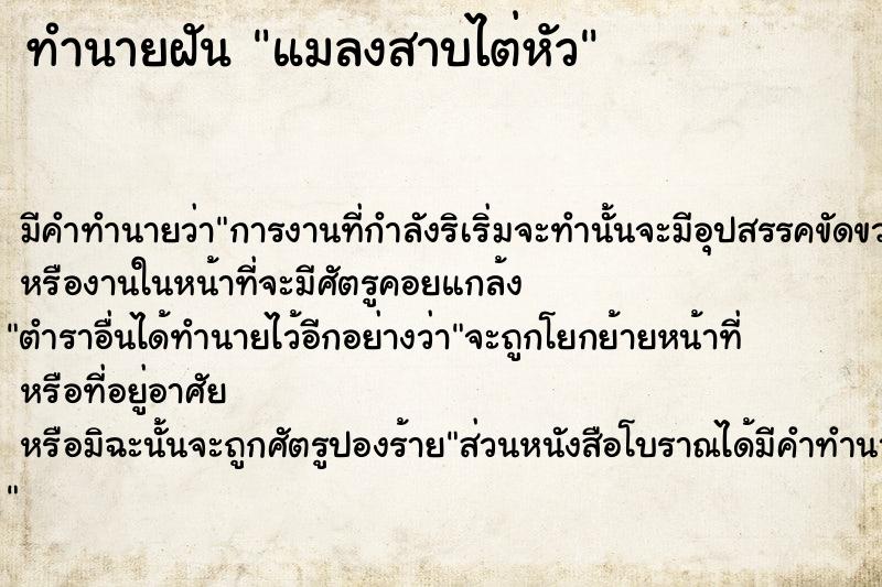 ทำนายฝันทำนายฝันแมลงสาบไต่หัว
