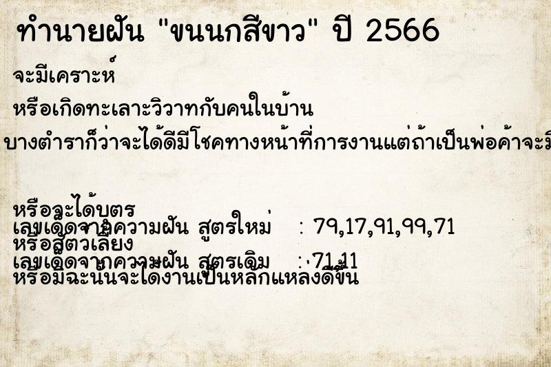 ทำนายฝัน ขนนกสีขาว ทำนายฝัน ขนนกสีขาว