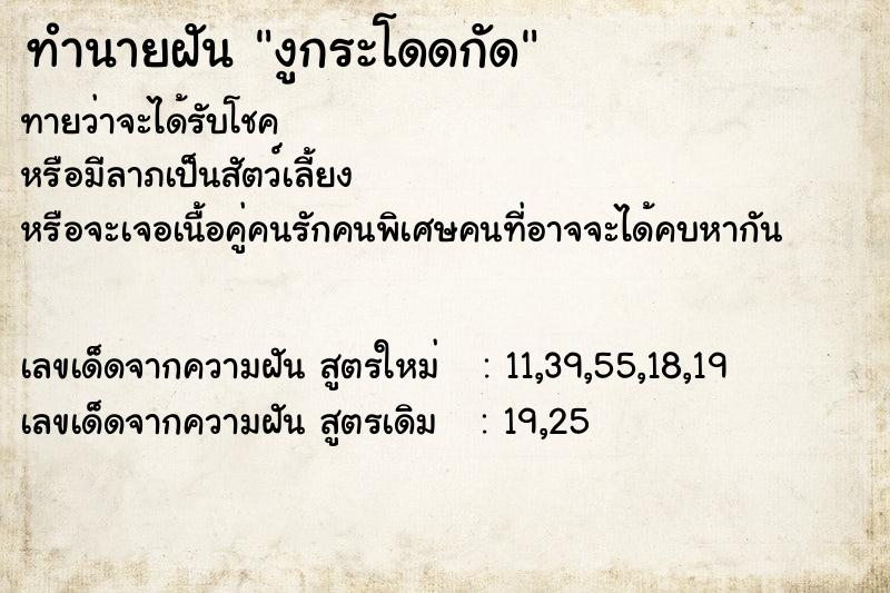 ทำนายฝัน งูกระโดดกัด ตำราโบราณ แม่นที่สุดในโลก