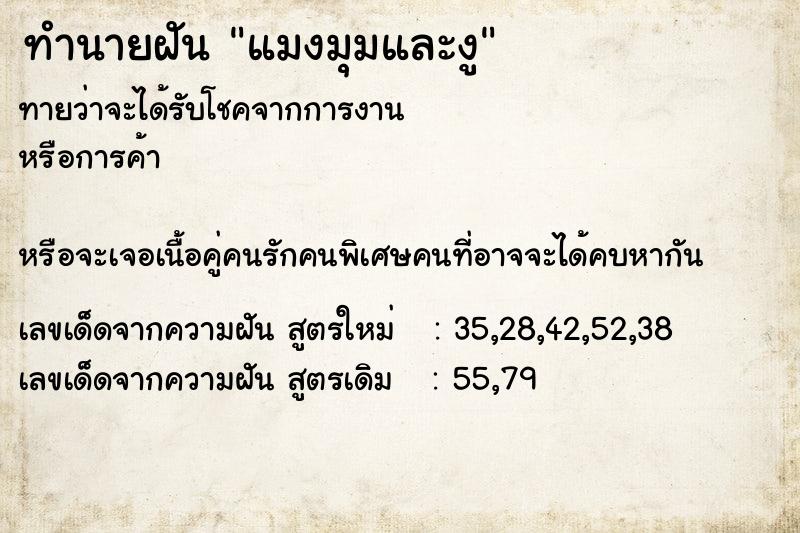 ทำนายฝัน แมงมุมและงู ทำนายฝัน แมงมุมและงู