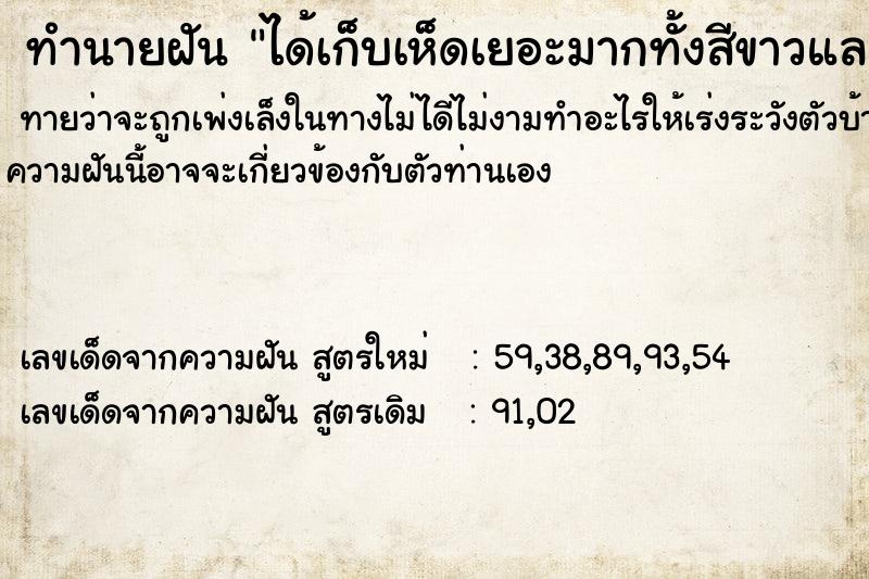 ทำนายฝันได้เก็บเห็ดเยอะมากทั้งสีขาวและเห็ดสีสวย ทำนายฝันทำนายฝันได้เก็บเห็ดเยอะมากทั้งสีขาวและเห็ดสีสวย