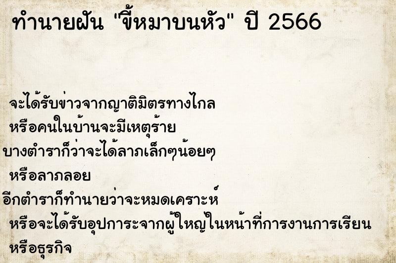 ทำนายฝัน ขี้หมาบนหัว ทำนายฝัน ขี้หมาบนหัว
