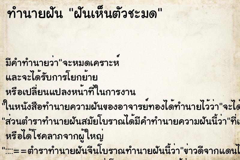 ทำนายฝัน ฝันเห็นตัวชะมด ทำนายฝัน ฝันเห็นตัวชะมด