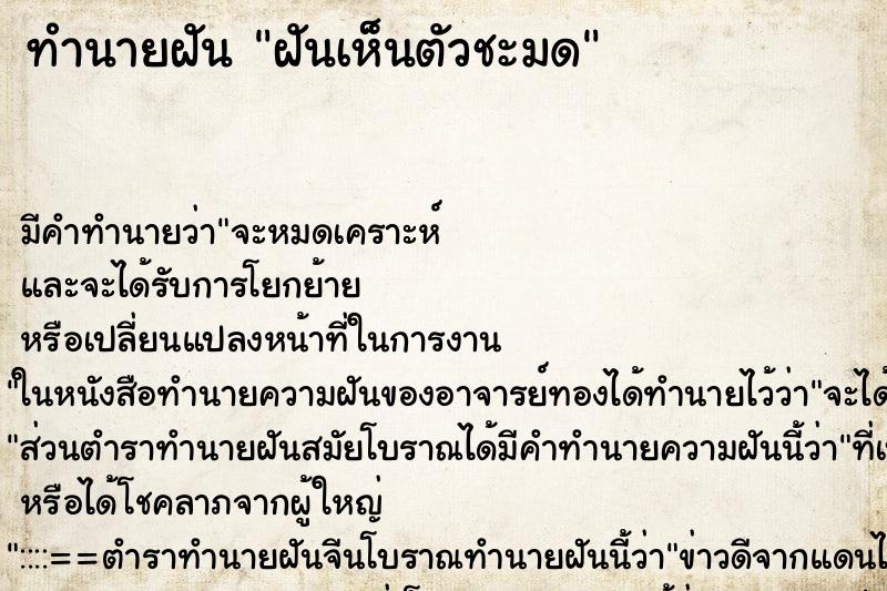 ทำนายฝัน ฝันเห็นตัวชะมด ตำราโบราณ แม่นที่สุดในโลก