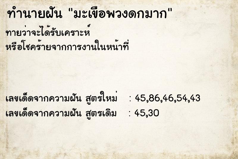 ทำนายฝันมะเขือพวงดกมาก ทำนายฝันทำนายฝันมะเขือพวงดกมาก