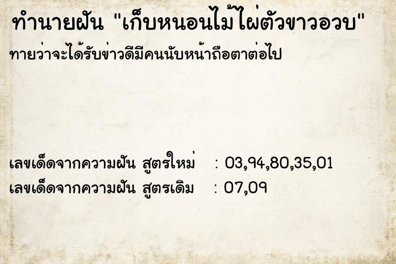 ทำนายฝันเก็บหนอนไม้ไผ่ตัวขาวอวบ ทำนายฝันทำนายฝันเก็บหนอนไม้ไผ่ตัวขาวอวบ